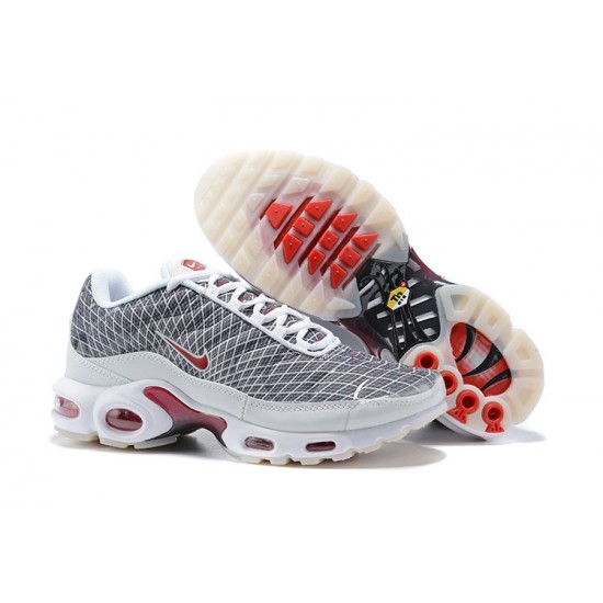 Stockx Nike Air Max Plus Tn Men Grey and White Shoes