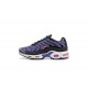 Stockx Nike Air Max Plus Tn Men Purple Black CD0609-024 Shoes